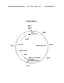 COMPOSITIONS AND METHODS FOR THE IMPROVEMENT OF PLANTS diagram and image