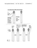 SIDEWALL TRACING NANOPROBES, METHOD FOR MAKING THE SAME, AND METHOD FOR USE diagram and image