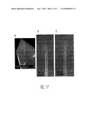 SIDEWALL TRACING NANOPROBES, METHOD FOR MAKING THE SAME, AND METHOD FOR USE diagram and image