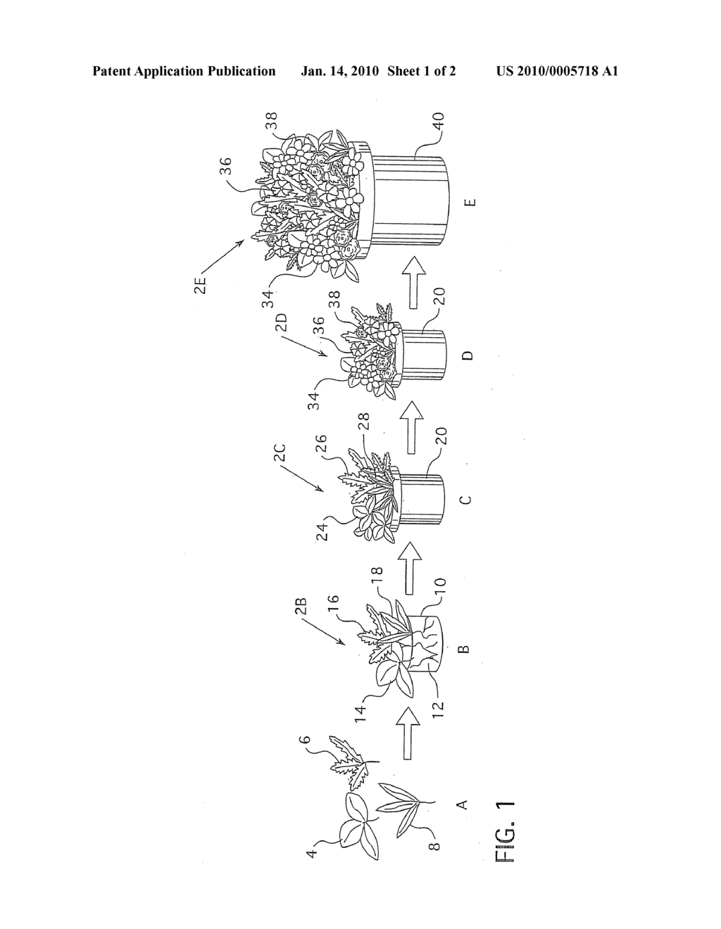 Method of Producing a Horticultural Display - diagram, schematic, and image 02