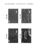 EPITAXIAL GROWTH METHOD, EPITAXIAL CRYSTAL STRUCTURE, EPITAXIAL CRYSTAL GROWTH APPARATUS, AND SEMICONDUCTOR DEVICE diagram and image