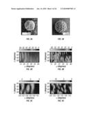 SYSTEMS AND METHODS FOR DETECTING NORMAL LEVELS OF BACTERIA IN WATER USING A MULTIPLE ANGLE LIGHT SCATTERING (MALS) INSTRUMENT diagram and image