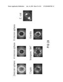 SYSTEMS AND METHODS FOR DETECTING NORMAL LEVELS OF BACTERIA IN WATER USING A MULTIPLE ANGLE LIGHT SCATTERING (MALS) INSTRUMENT diagram and image