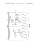 DISPLAY METHOD AND DISPLAY APPARATUS diagram and image