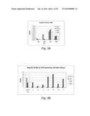 ANTI-GD2 ANTIBODIES AND METHODS AND USES RELATED THERETO diagram and image