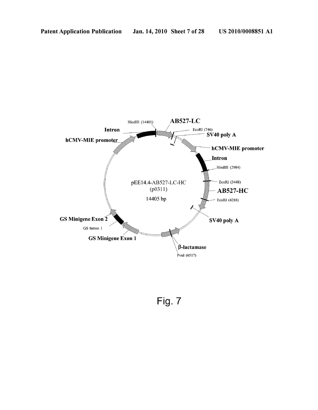 ANTI-GD2 ANTIBODIES AND METHODS AND USES RELATED THERETO - diagram, schematic, and image 08