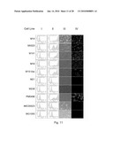 ANTI-GD2 ANTIBODIES AND METHODS AND USES RELATED THERETO diagram and image