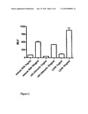 ANTI GANGLIOSIDE GD3 ANTIBODIES AND USES THEREOF diagram and image