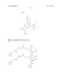 Methods and Compositions for Improved F-18 Labeling of Proteins, Peptides and Other Molecules diagram and image