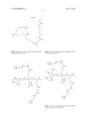 Methods and Compositions for Improved F-18 Labeling of Proteins, Peptides and Other Molecules diagram and image