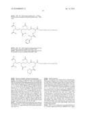 Methods and Compositions for Improved F-18 Labeling of Proteins, Peptides and Other Molecules diagram and image