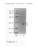 Process of Screening a Molecule as a Candidate Drug for the Treatment of Bipolar Disorder diagram and image