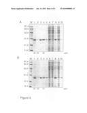 Process of Screening a Molecule as a Candidate Drug for the Treatment of Bipolar Disorder diagram and image