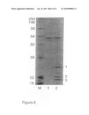 Process of Screening a Molecule as a Candidate Drug for the Treatment of Bipolar Disorder diagram and image