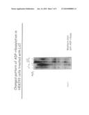 Process of Screening a Molecule as a Candidate Drug for the Treatment of Bipolar Disorder diagram and image