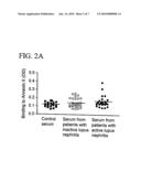 ANNEXIN II COMPOSITIONS FOR TREATING OR MONITORING INFLAMMATION OR IMMUNE-MEDIATED DISORDERS diagram and image