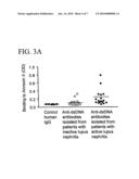 ANNEXIN II COMPOSITIONS FOR TREATING OR MONITORING INFLAMMATION OR IMMUNE-MEDIATED DISORDERS diagram and image