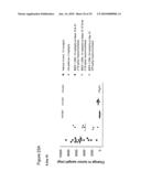 Cripto binding molecules diagram and image