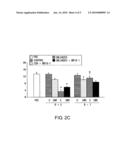 MUSCLE REGENERATION PROMOTER diagram and image