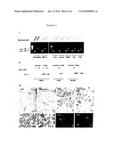 USE OF SOLUBLE CD160 TO SUPPRESS IMMUNITY diagram and image