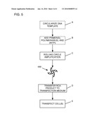 UNPROCESSED ROLLING CIRCLE AMPLIFICATION PRODUCT diagram and image