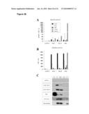 NOVEL GENES RELATED TO GLUTAMINYL CYCLASE diagram and image