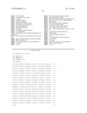 NOVEL GENES RELATED TO GLUTAMINYL CYCLASE diagram and image