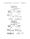 PROCESS FOR HIGH-THROUGHPUT DNA METHYLATION ANALYSIS diagram and image