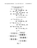 PROCESS FOR HIGH-THROUGHPUT DNA METHYLATION ANALYSIS diagram and image
