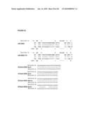 MICRO RNAS AND THEIR METHODS OF USE FOR THE TREATMENT AND DIAGNOSIS OF SCHIZOPHRENIA AND SCHIZOPHRENIA SPECTRUM DISORDERS diagram and image