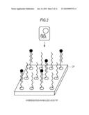 GENE ASSAYING METHOD, GENE ASSAYING PROGRAM, AND GENE ASSAYING DEVICE diagram and image