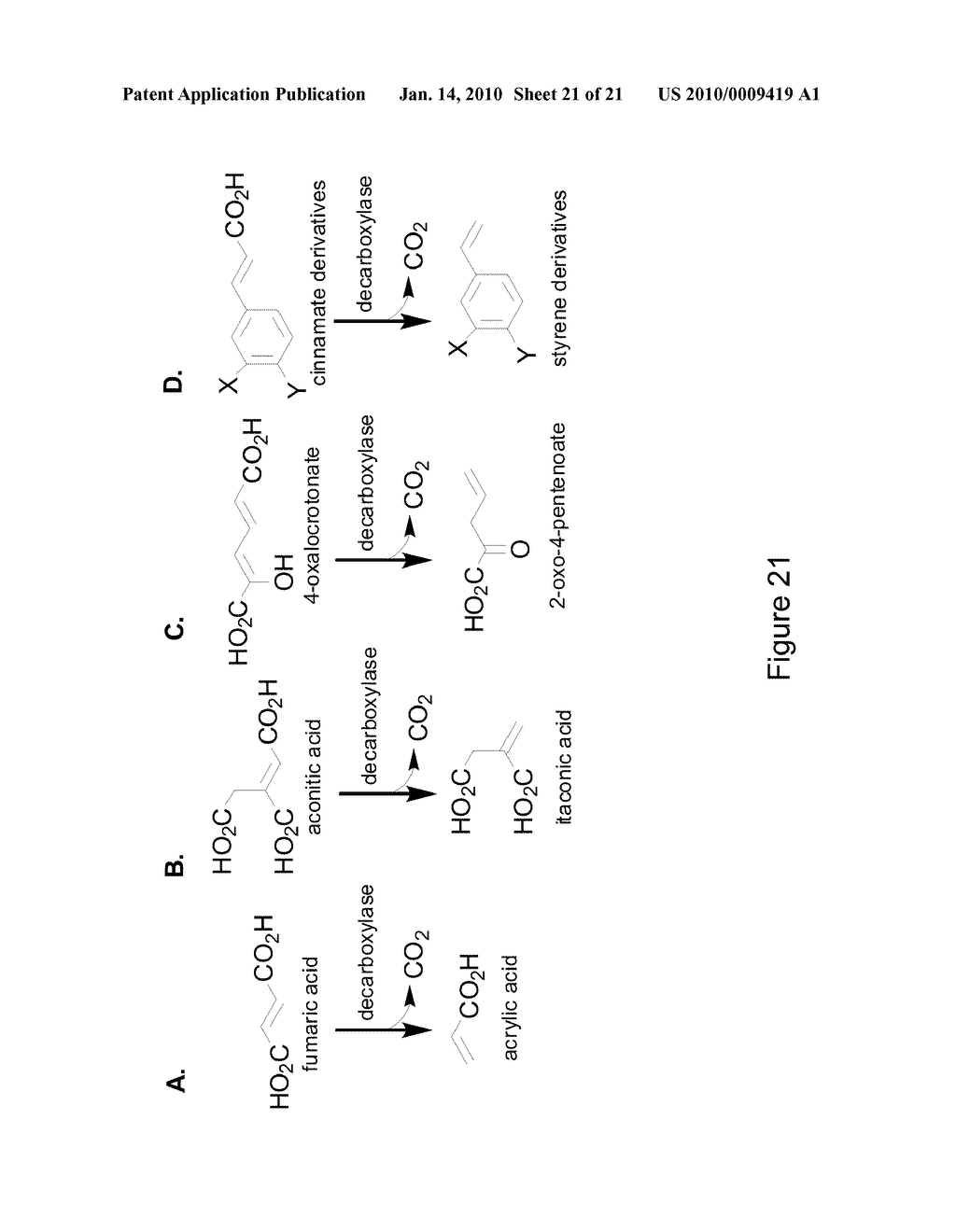 MICROORGANISMS AND METHODS FOR THE BIOSYNTHESIS OF FUMARATE, MALATE, AND ACRYLATE - diagram, schematic, and image 22