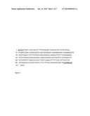 Genetic Modification of Homolactic Thermophilic Bacilli diagram and image