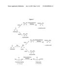 Nitrilases, Nucleic Acids Encoding Them and Methods for Making and Using Them diagram and image