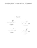 Nitrilases, Nucleic Acids Encoding Them and Methods for Making and Using Them diagram and image