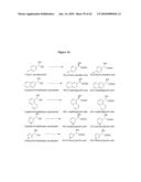 Nitrilases, Nucleic Acids Encoding Them and Methods for Making and Using Them diagram and image