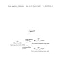 Nitrilases, Nucleic Acids Encoding Them and Methods for Making and Using Them diagram and image