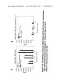 Npcil1 (Npc3) And Methods Of Identifying Ligands Thereof diagram and image