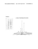 Reagents for the detection of protein phosphorylation in signaling pathways diagram and image