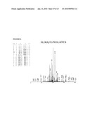 Reagents for the detection of protein phosphorylation in signaling pathways diagram and image