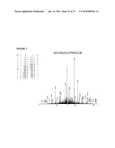 Reagents for the detection of protein phosphorylation in signaling pathways diagram and image