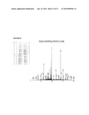 Reagents for the detection of protein phosphorylation in signaling pathways diagram and image