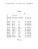 Multiplexed Client Server (MCS) Communications and Systems diagram and image