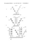 Device and method for analysis of interactions between biomolecules diagram and image