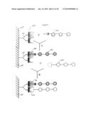 Device and method for analysis of interactions between biomolecules diagram and image