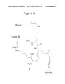 Device and method for analysis of interactions between biomolecules diagram and image