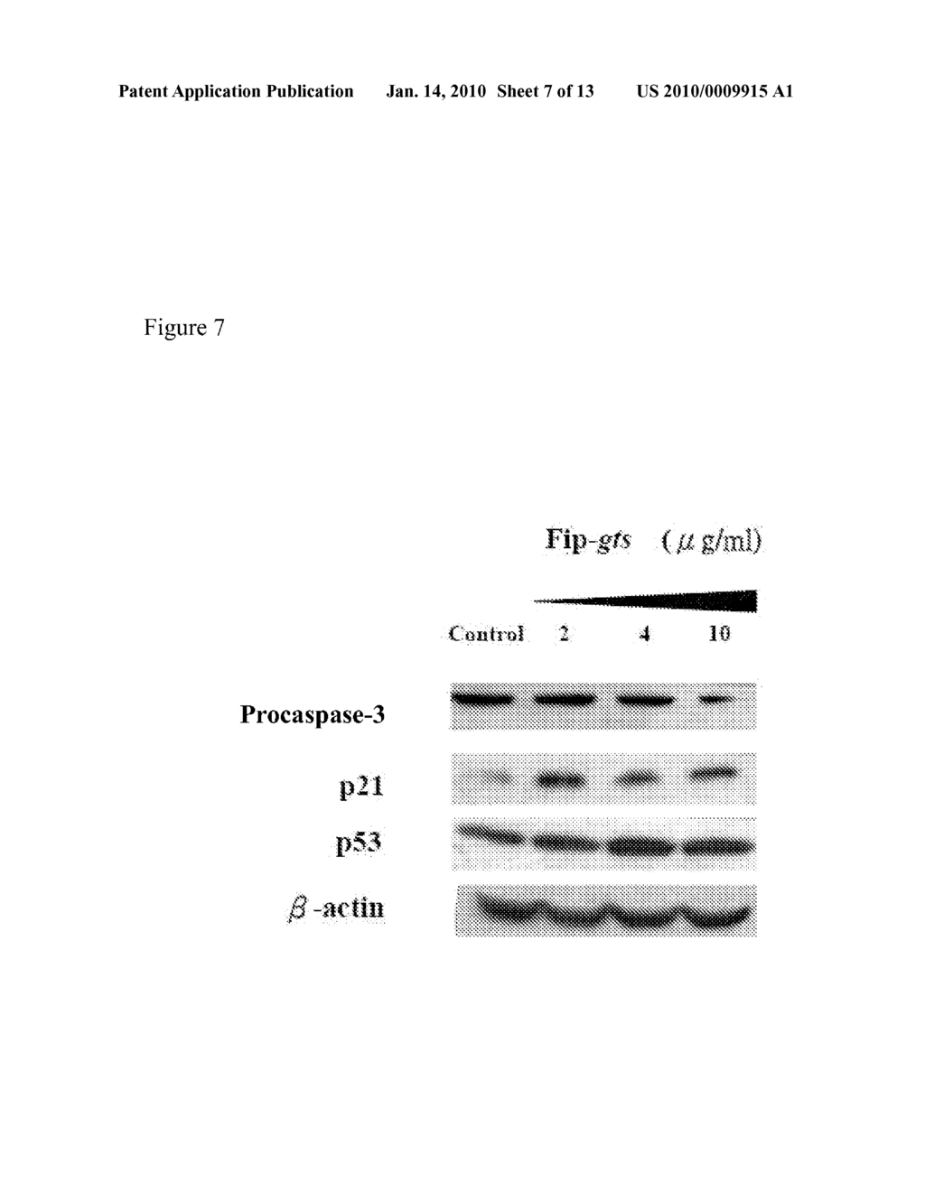 COMPOSITIONS COMPRISING FUNGAL IMMUNOMODULATORY PROTEIN AND USE THEREOF - diagram, schematic, and image 08