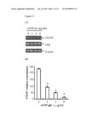 COMPOSITIONS COMPRISING FUNGAL IMMUNOMODULATORY PROTEIN AND USE THEREOF diagram and image