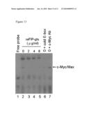 COMPOSITIONS COMPRISING FUNGAL IMMUNOMODULATORY PROTEIN AND USE THEREOF diagram and image