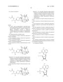 COMPOSITIONS INCLUDING TRICIRIBINE AND TAXANES AND METHODS OF USE THEREOF diagram and image